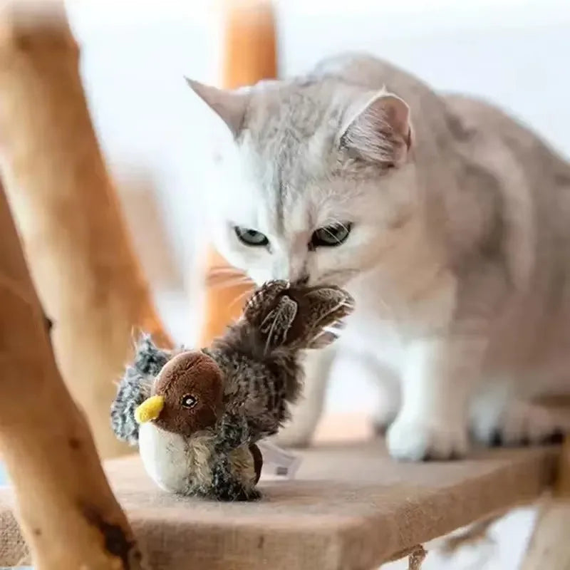 Chirpy Feather Cat Chaser